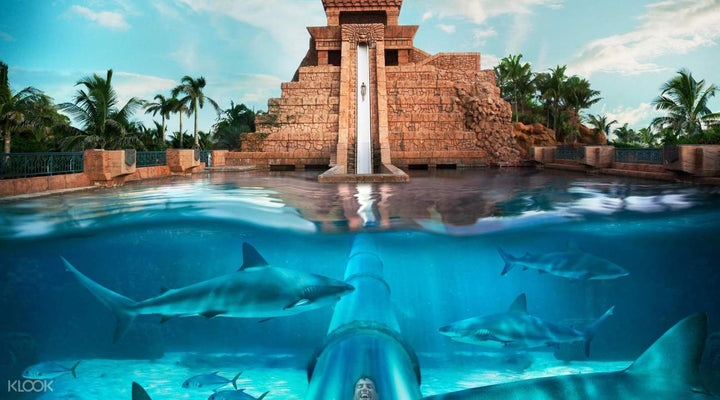 Waterparks of the World You Need to Visit!
